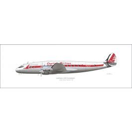 航空絵画EARLY MORNING ARRIVAL L-049コンステレーション 航空絵画EARLY MORNING ARRIVAL L-049コンステレーション