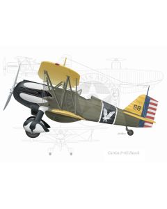 Curtiss P-6E Hawk