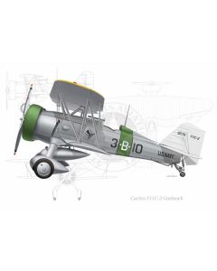 Curtiss F11C Goshawk