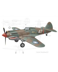 Curtiss P-40B "Flying Tigers"