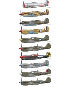 Curtiss P-40 Evolution Poster 