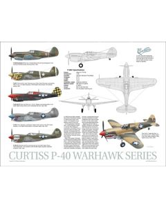 P-40 Data Poster