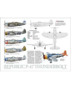 P-47 Thunderbolt Data Poster 