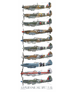 Spitfire Evolution Poster     